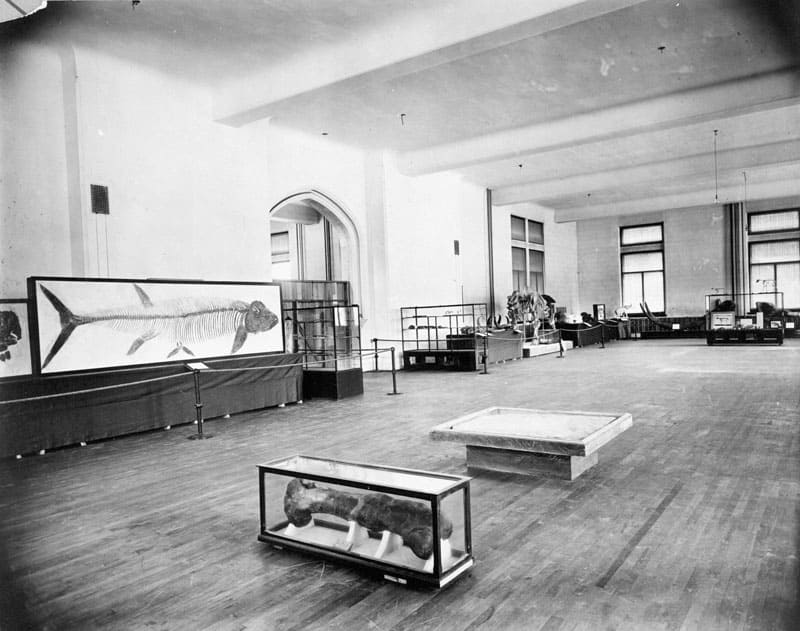 Inside of the Victoria Memorial Museum, 1913