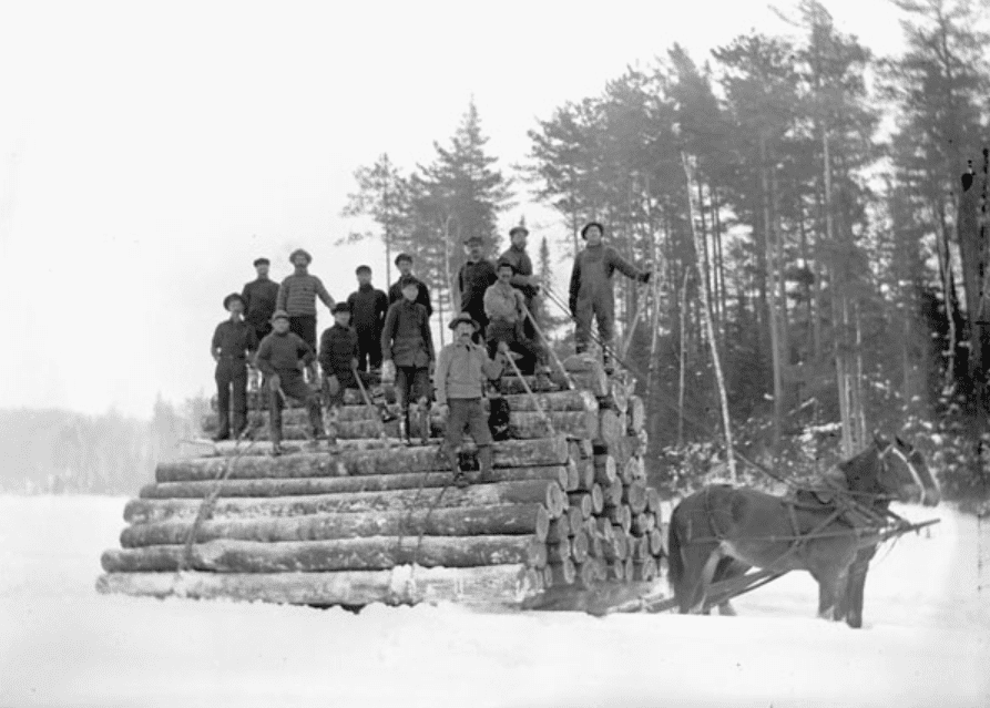 timber hauling