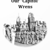 104. Our “Capitol” Wrens