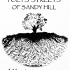 130. Poets’ Streets of Sandy Hill: A Memoir