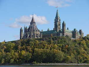The bluff below Parliament Hill was once planted with white birches. But damage to the pretty birches from visitors and caterpillars caused a die-off.