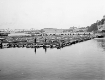 J.R. Booth’s timber raft, Topley Studio, Library and Archives Canada, 138219. With the completed Alexandra bridge in the background, this picture dates from no earlier than 1901. Quite possibly, it is a photograph of the last timber raft to go from Ottawa to Quebec City in 1908.
