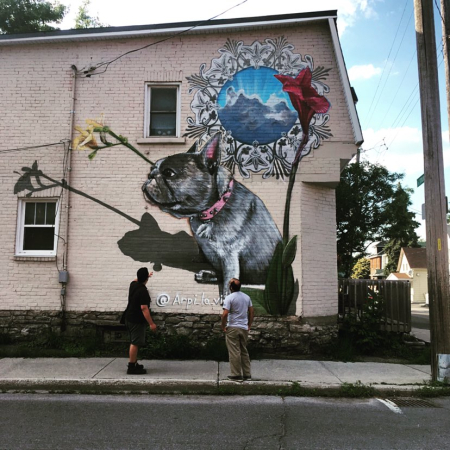 Hintonburg mural.