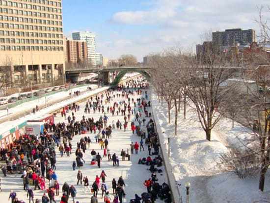 Ottawa’s Rink